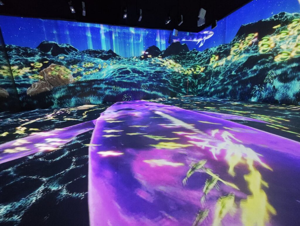 immersive projection room cost